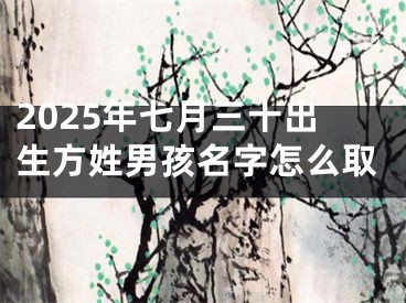 2025年七月三十出生方姓男孩名字怎么取