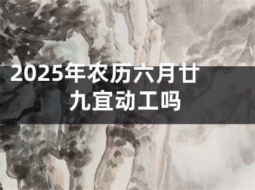 2025年农历六月廿九宜动工吗