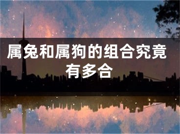 属兔和属狗的组合究竟有多合