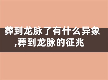 葬到龙脉了有什么异象,葬到龙脉的征兆