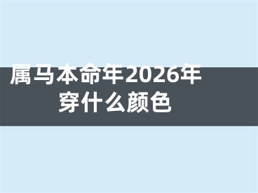 属马本命年2026年穿什么颜色 
