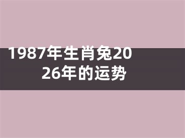 1987年生肖兔2026年的运势