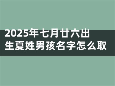 2025年七月廿六出生夏姓男孩名字怎么取