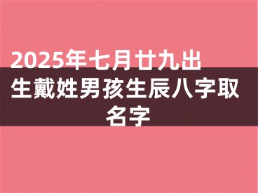 2025年七月廿九出生戴姓男孩生辰八字取名字