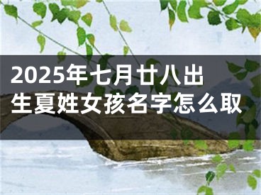 2025年七月廿八出生夏姓女孩名字怎么取