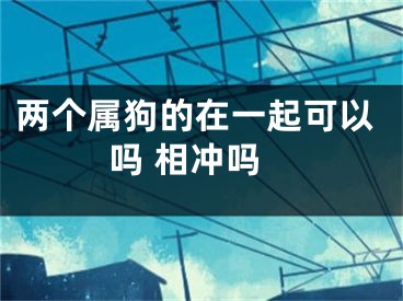 两个属狗的在一起可以吗 相冲吗