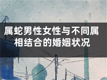 属蛇男性女性与不同属相结合的婚姻状况