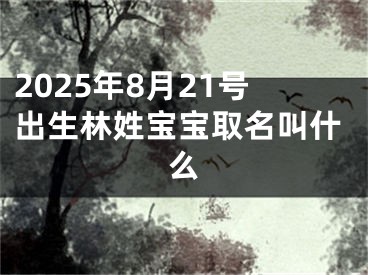 2025年8月21号出生林姓宝宝取名叫什么