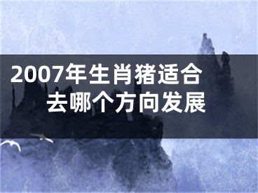 2007年生肖猪适合去哪个方向发展