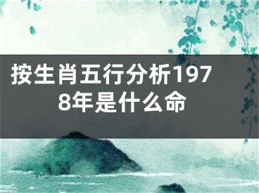 按生肖五行分析1978年是什么命