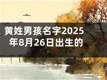 黄姓男孩名字2025年8月26日出生的