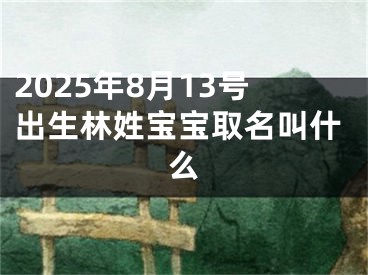 2025年8月13号出生林姓宝宝取名叫什么