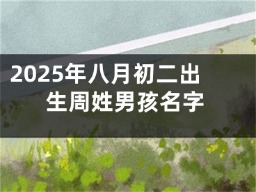 2025年八月初二出生周姓男孩名字