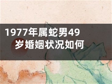 1977年属蛇男49岁婚姻状况如何 