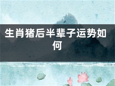 生肖猪后半辈子运势如何