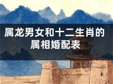属龙男女和十二生肖的属相婚配表