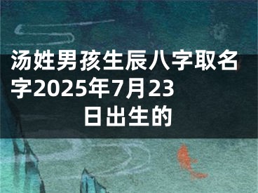 汤姓男孩生辰八字取名字2025年7月23日出生的