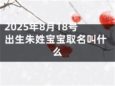 2025年8月18号出生朱姓宝宝取名叫什么