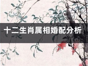 十二生肖属相婚配分析