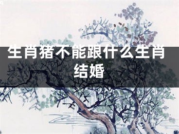 生肖猪不能跟什么生肖结婚