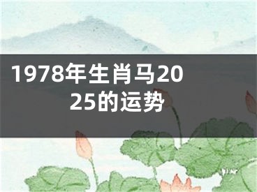 1978年生肖马2025的运势