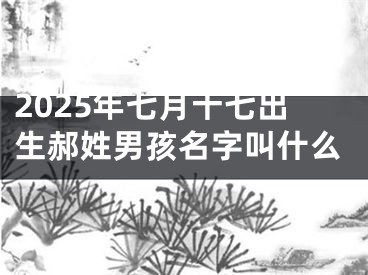 2025年七月十七出生郝姓男孩名字叫什么