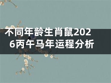 不同年龄生肖鼠2026丙午马年运程分析