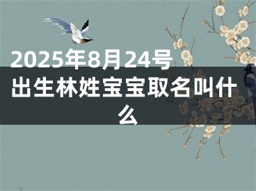 2025年8月24号出生林姓宝宝取名叫什么
