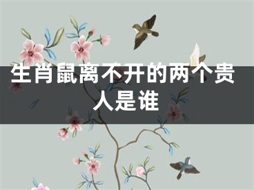 生肖鼠离不开的两个贵人是谁