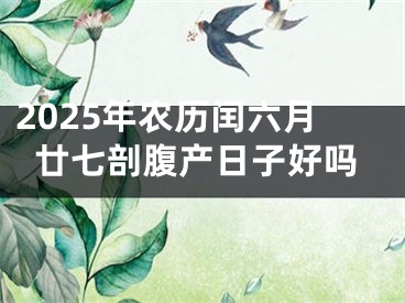 2025年农历闰六月廿七剖腹产日子好吗
