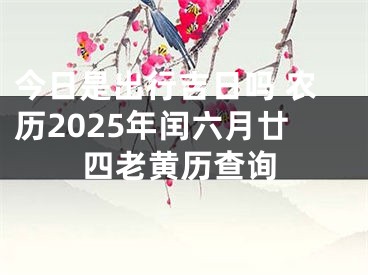 今日是出行吉日吗 农历2025年闰六月廿四老黄历查询