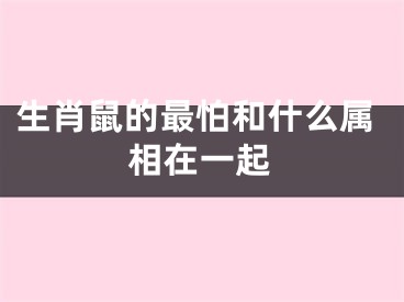 生肖鼠的最怕和什么属相在一起