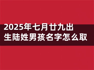 2025年七月廿九出生陆姓男孩名字怎么取