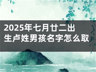 2025年七月廿二出生卢姓男孩名字怎么取