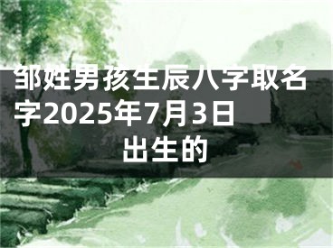 邹姓男孩生辰八字取名字2025年7月3日出生的