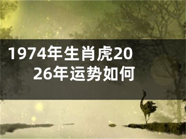 1974年生肖虎2026年运势如何