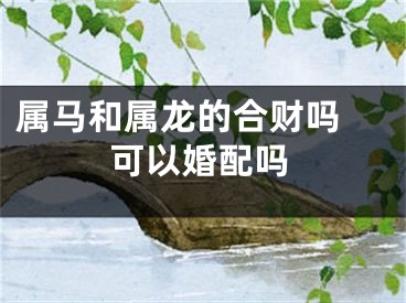 属马和属龙的合财吗 可以婚配吗