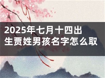 2025年七月十四出生贾姓男孩名字怎么取
