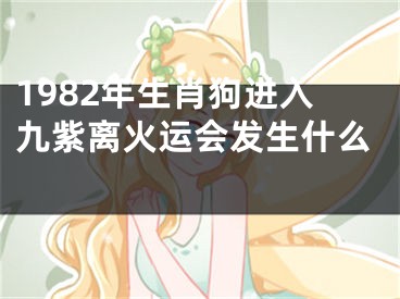 1982年生肖狗进入九紫离火运会发生什么 