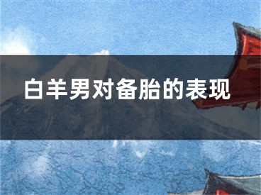 白羊男对备胎的表现