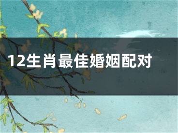 12生肖最佳婚姻配对