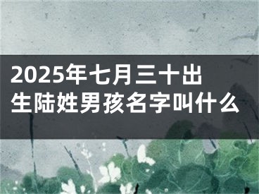 2025年七月三十出生陆姓男孩名字叫什么