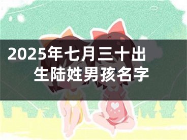 2025年七月三十出生陆姓男孩名字