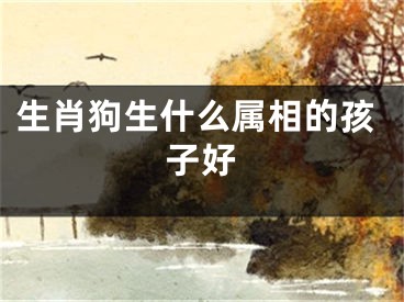 生肖狗生什么属相的孩子好
