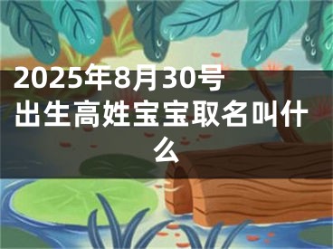 2025年8月30号出生高姓宝宝取名叫什么