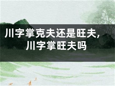 川字掌克夫还是旺夫,川字掌旺夫吗