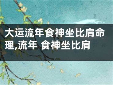 大运流年食神坐比肩命理,流年 食神坐比肩