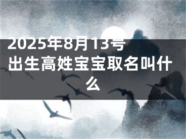 2025年8月13号出生高姓宝宝取名叫什么
