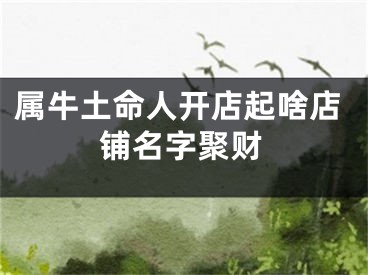 属牛土命人开店起啥店铺名字聚财