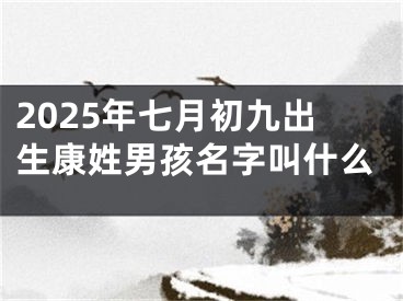 2025年七月初九出生康姓男孩名字叫什么